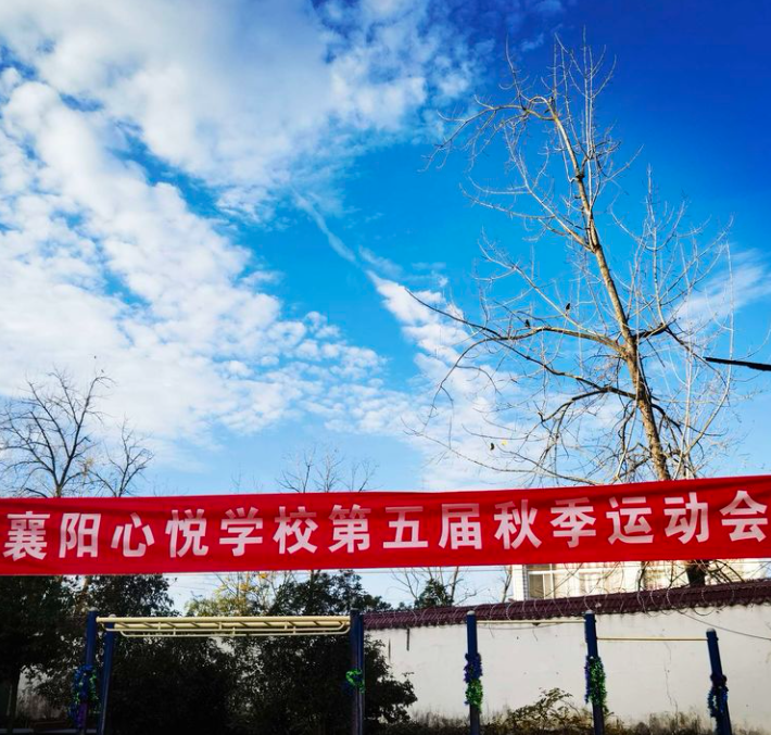 1763694801539704.png image.png